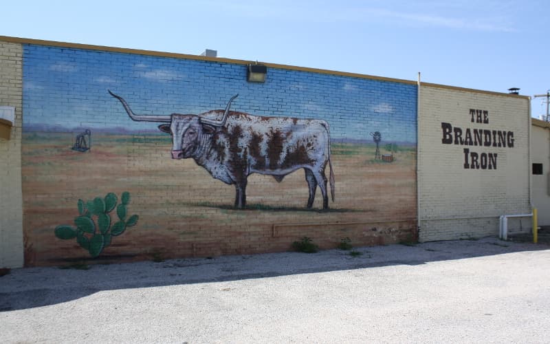 Longhorn Mural by Ralph Sterns